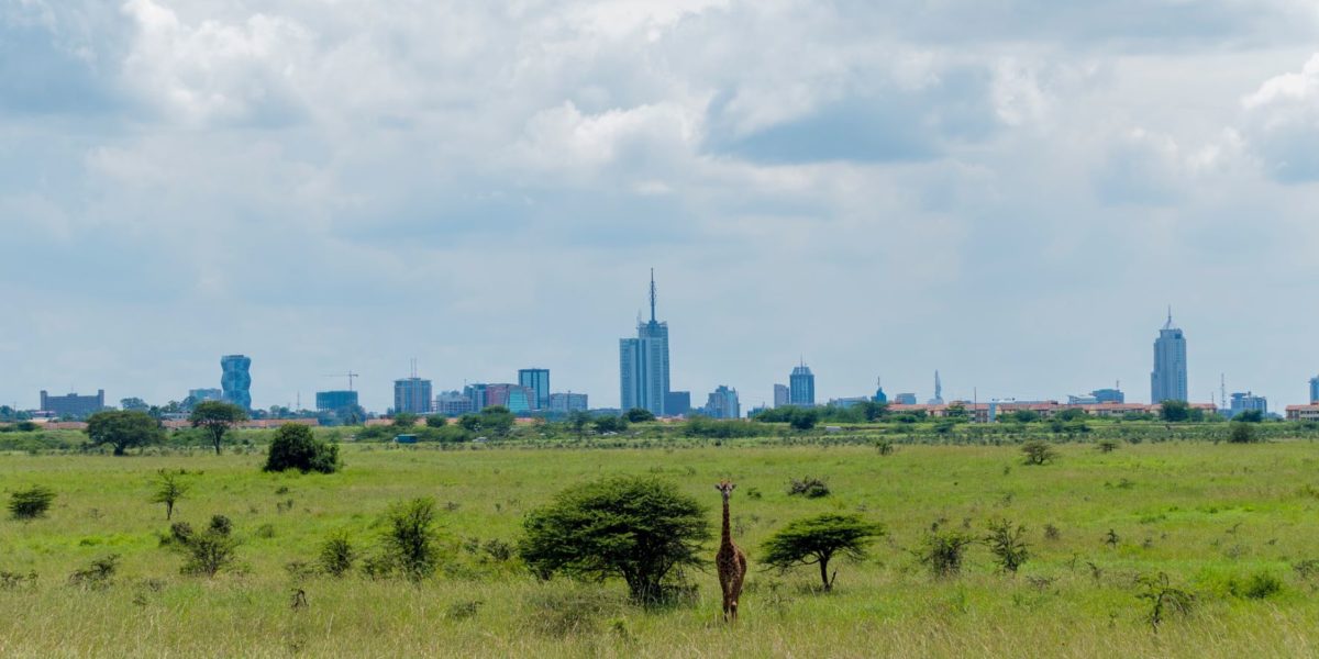 Nairobi National park, Africa.