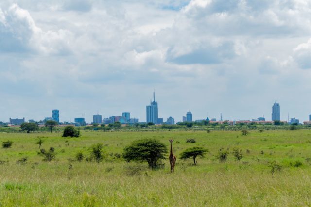 Nairobi National park, Africa.